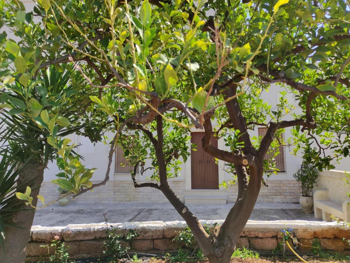 Villa Residenza "I Tre Carrubi " Fasano Exterior foto